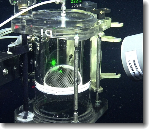 MBARI Deep Sea Raman Spectroscopy C
